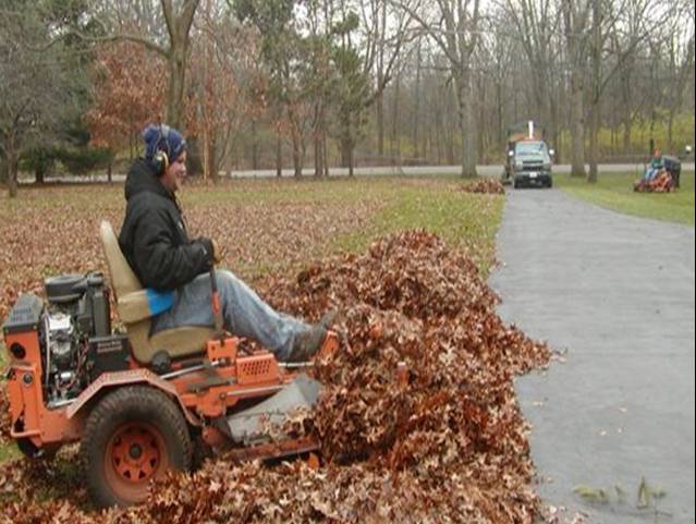 Leaf removal and disposal.