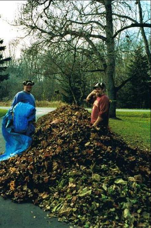 Twin Oaks leaf disposal project.